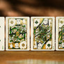 SPAR & 52 Playing Cards by SW × LU CHEN STUDIO