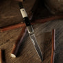 Chroma Color-Changing Knives Set by TCC Magic