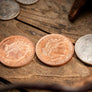 Chinese 3 Fly (C3F) by Jimmy Fan & Artisan Coin
