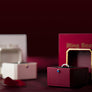 Last Stock Clearance | The Magic Ring Box by TCC Magic