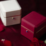 Last Stock Clearance | The Magic Ring Box by TCC Magic