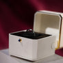 Last Stock Clearance | The Magic Ring Box by TCC Magic