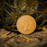 The Fate Coin by Artisan Coin & Yao Junhao