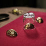 THREE SHELLS BY TCC