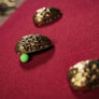 THREE SHELLS BY TCC