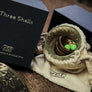 THREE SHELLS BY TCC