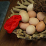 SILK TO EGG BY TCC