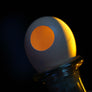 SILK TO EGG BY TCC