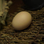SILK TO EGG BY TCC