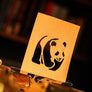 The Paper Cut by Elvis Zheng and TCC