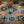Precog by Classicho & Paul Carnazzo
