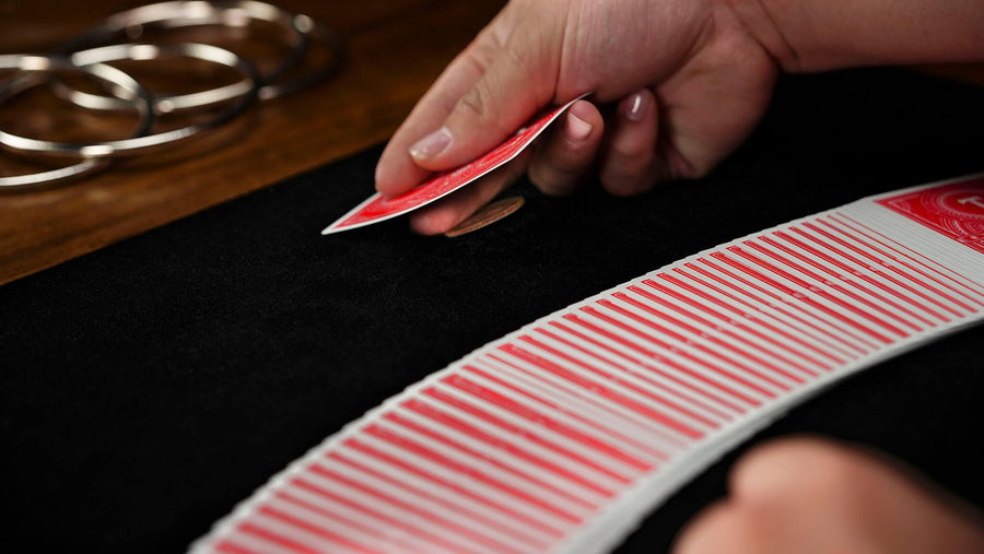 TCC 13th Release | Super Sponge Mat