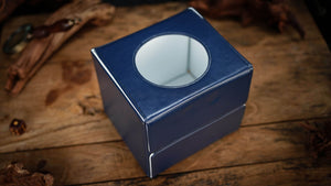 The Revelation Box by Wenyu Liu, Luca Volpe, Paul McCaig, Alan