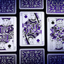 SPAR & 52 Playing Cards by SW × LU CHEN STUDIO