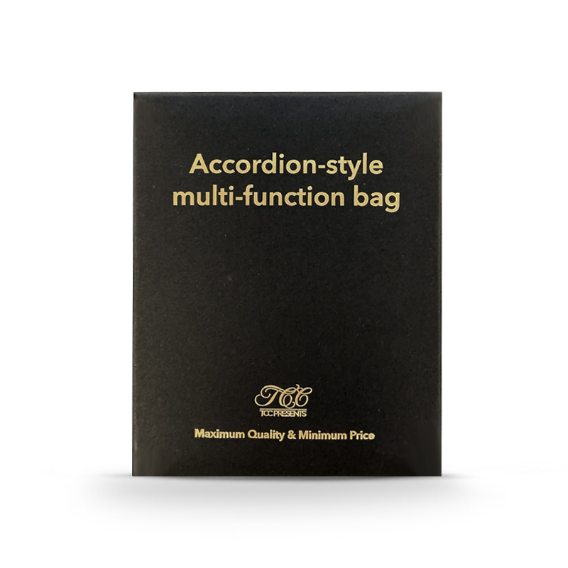 Accordion 2025 style bag