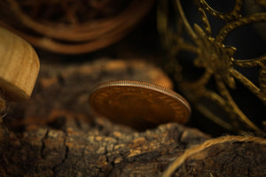 The Fate Coin by Artisan Coin & Yao Junhao