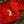 Clearance Sale: SILK TO EGG BY TCC