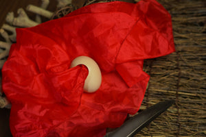 Clearance Sale: SILK TO EGG BY TCC