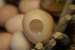 Clearance Sale: SILK TO EGG BY TCC
